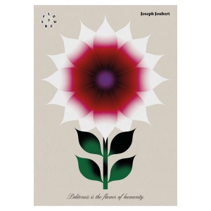 Flower 5 - Politeness