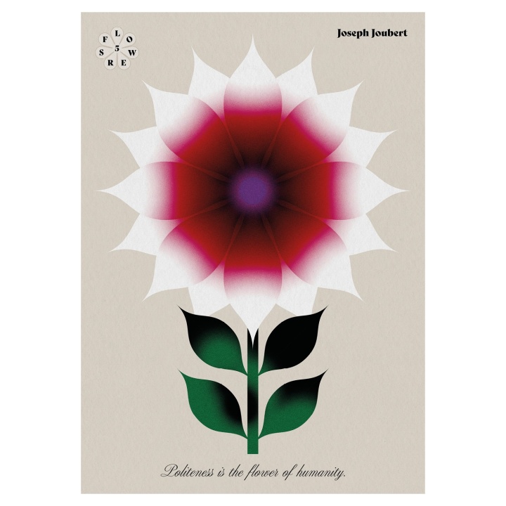 Flower 5 - Politeness