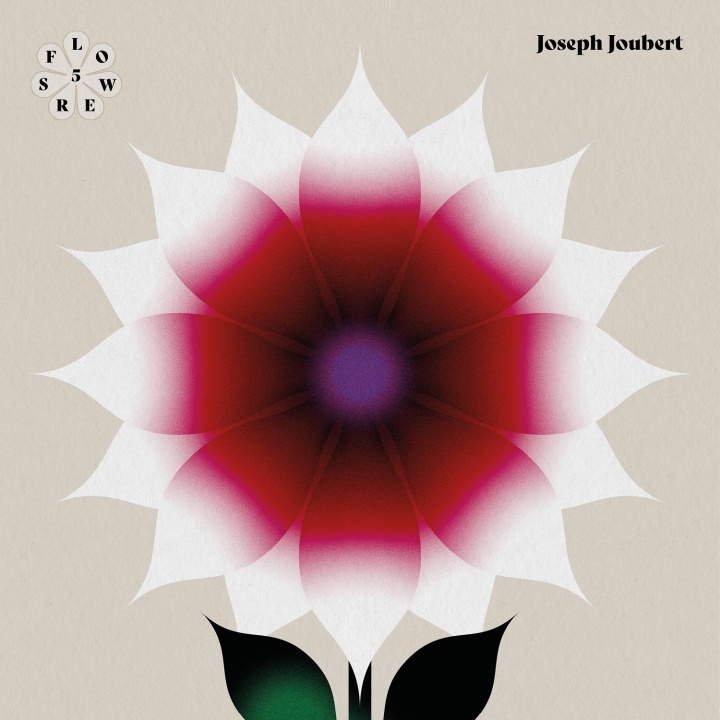 Flower 5 - Politeness