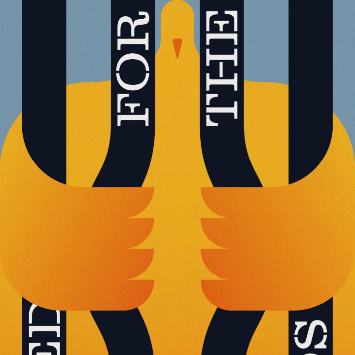 Freedom For The Birds